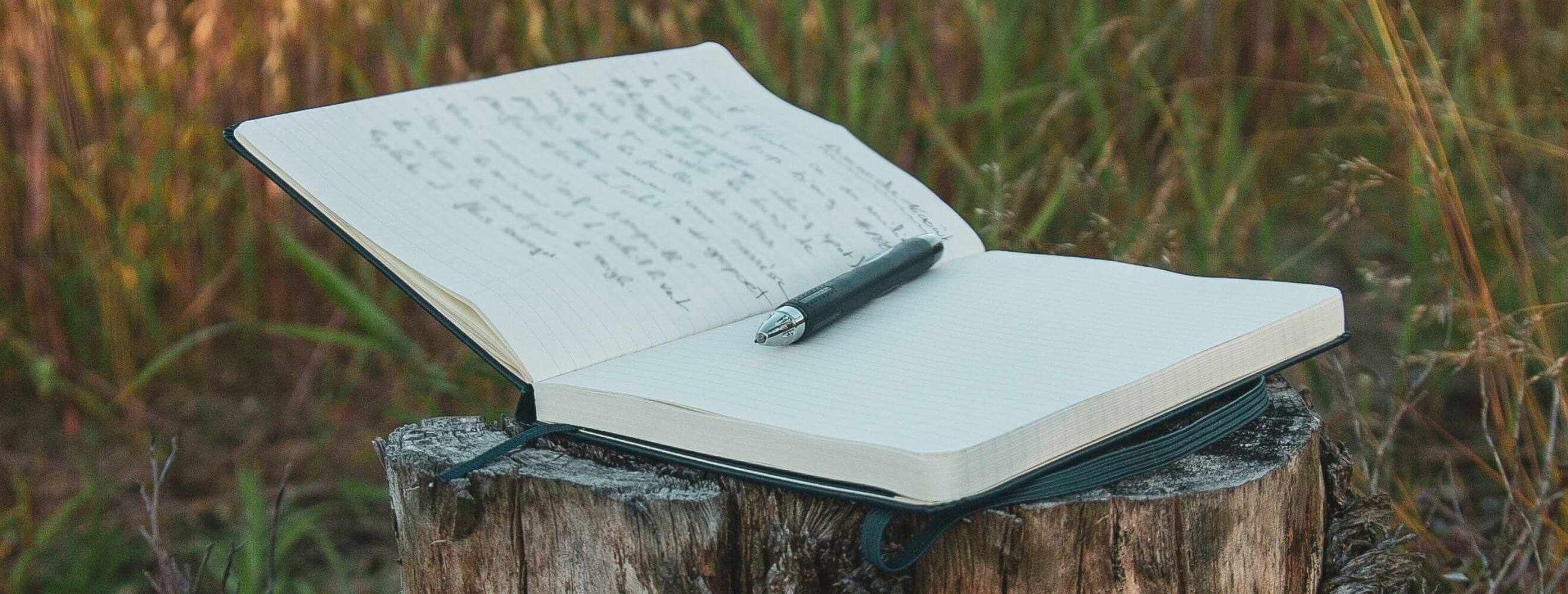 journal on a tree stump