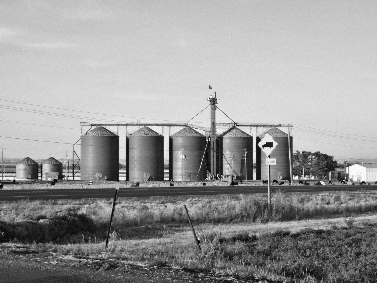 Silos along railroad tracks