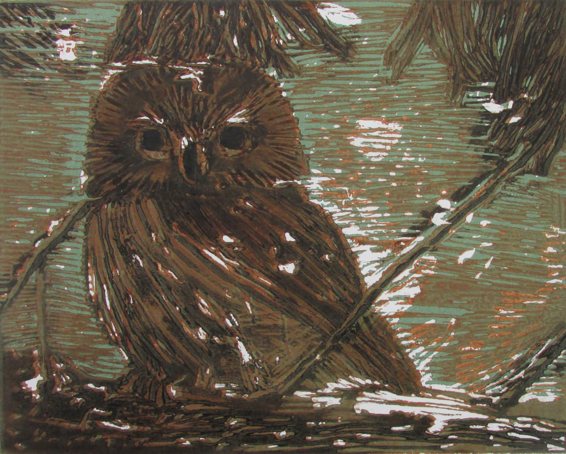 Stylized owl with dark eyes among tree branches and shimmering water reflections